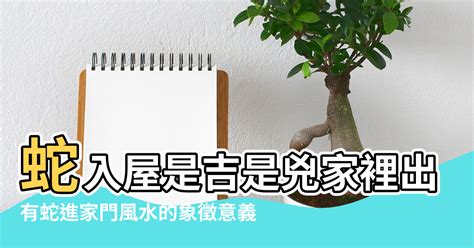 蛇入屋風水|【風水蛇進屋】有什麼寓意 